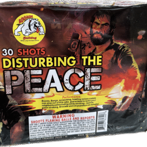 DISTURBING THE PEACE