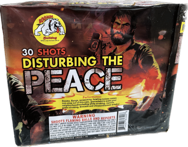 DISTURBING THE PEACE