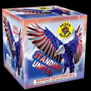 STANDING UNITED