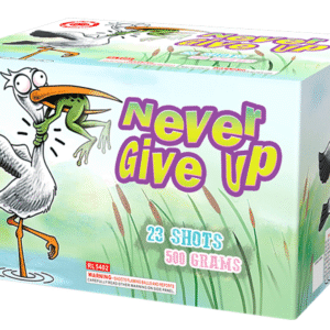 NEVER GIVE UP