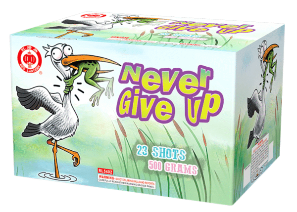 NEVER GIVE UP
